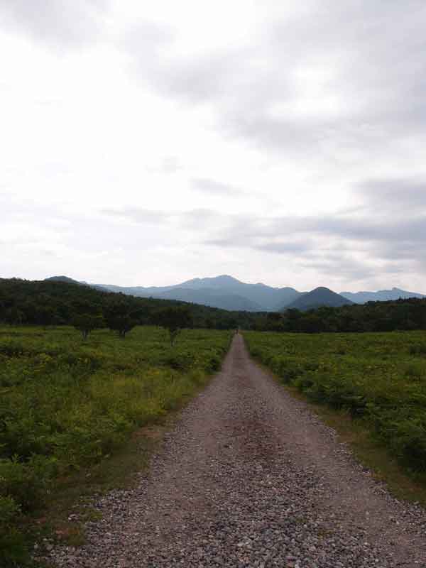 フレペの滝散策路(5)