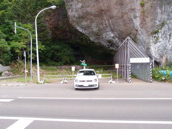 ひかりごけ自生地