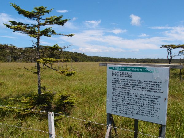 落石岬(2)