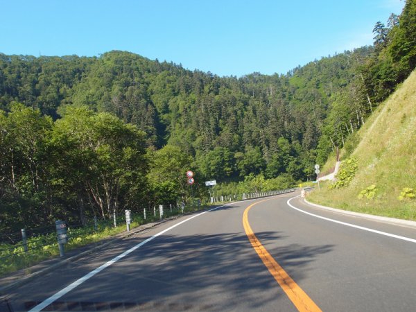 国道241号線