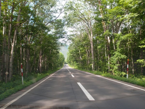 道道52号線