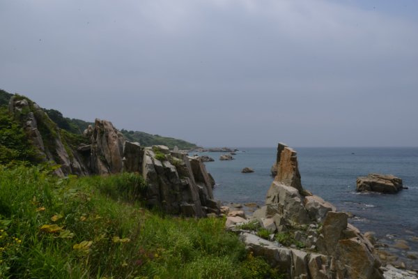 屏風のような岩