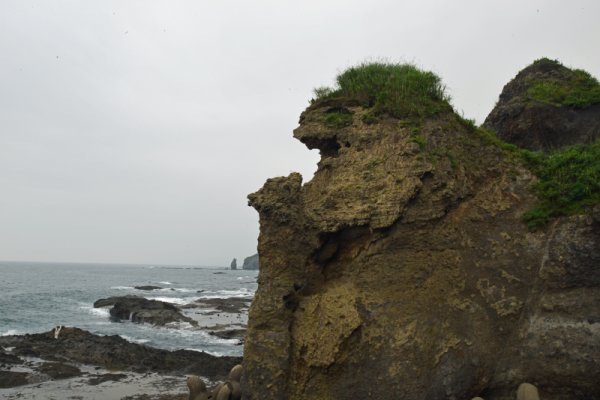親子熊岩