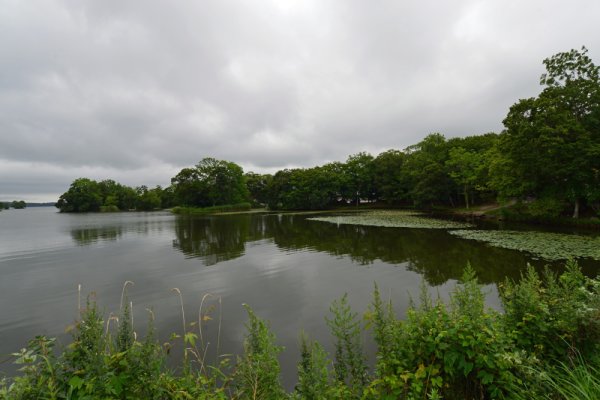 大沼公園