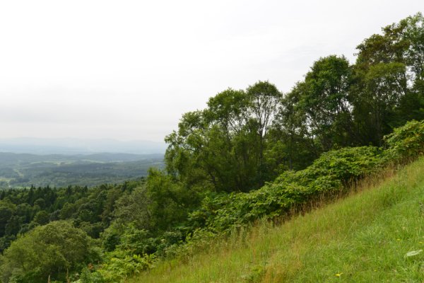 峠