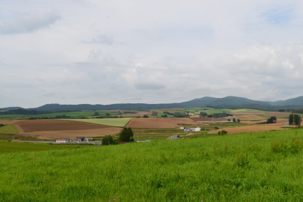 新城峠