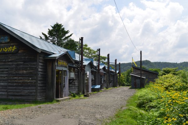 幸福の黄色いハンカチ広場(4)