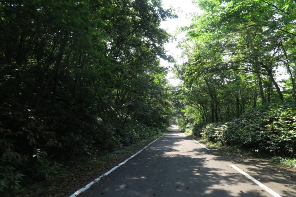 観光道路