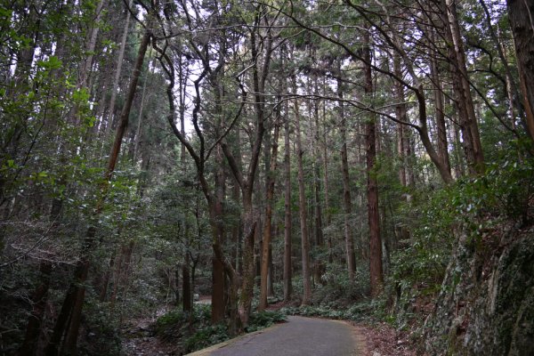 天の岩戸(4)