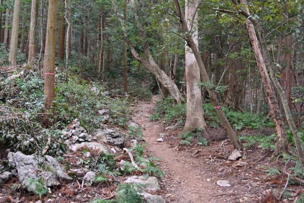 天の岩戸(14)：猿田彦の祠へ