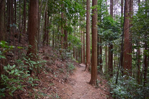 天の岩戸(16)：風穴への道