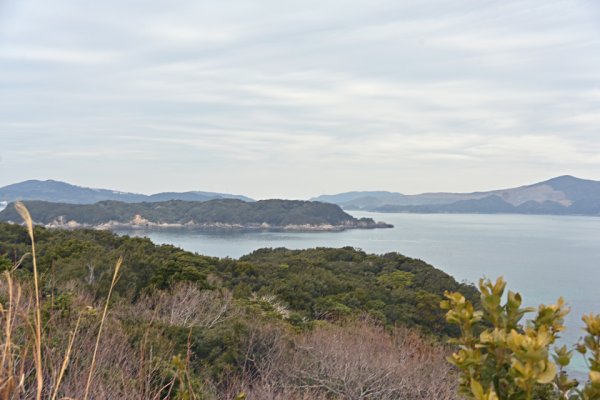 パールロード：展望台