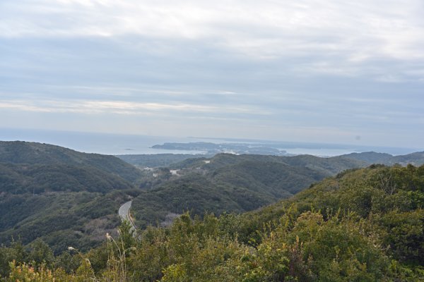 パールロード：箱田山園地展望台