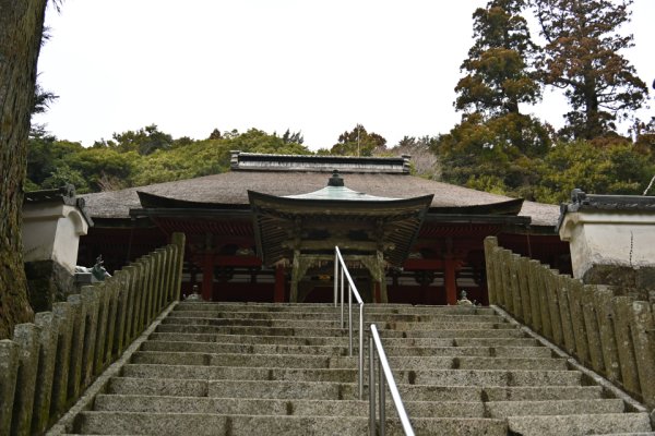 金剛證寺(7)：本堂