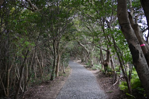 横山展望台(4)