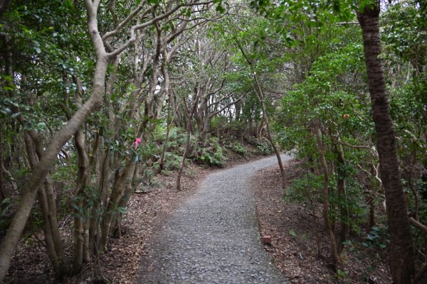横山展望台(8)