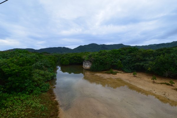 平久保川河口(2)
