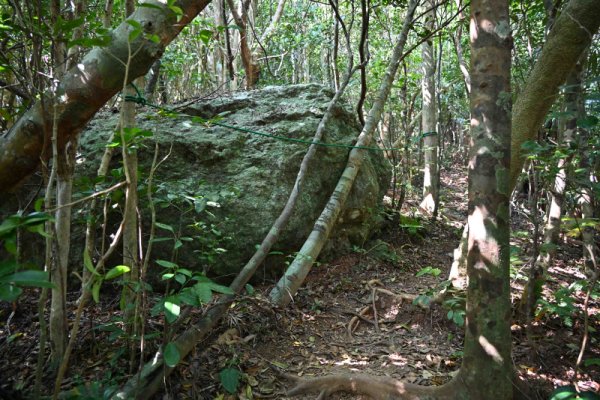 屋良部岳登山：登山道