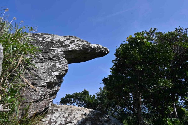 屋良部岳登山：トロルの舌
