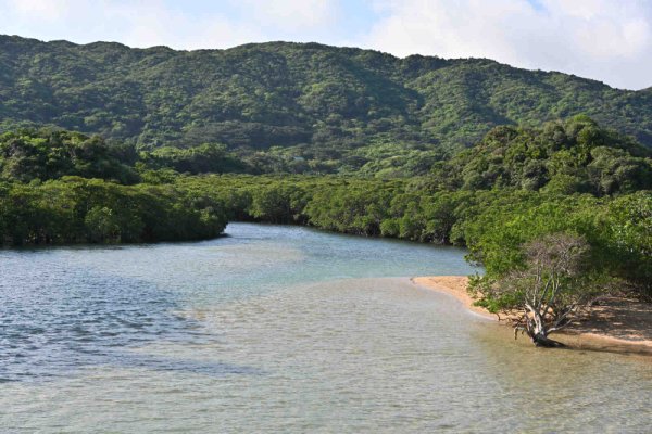 吹通川の河口(1)