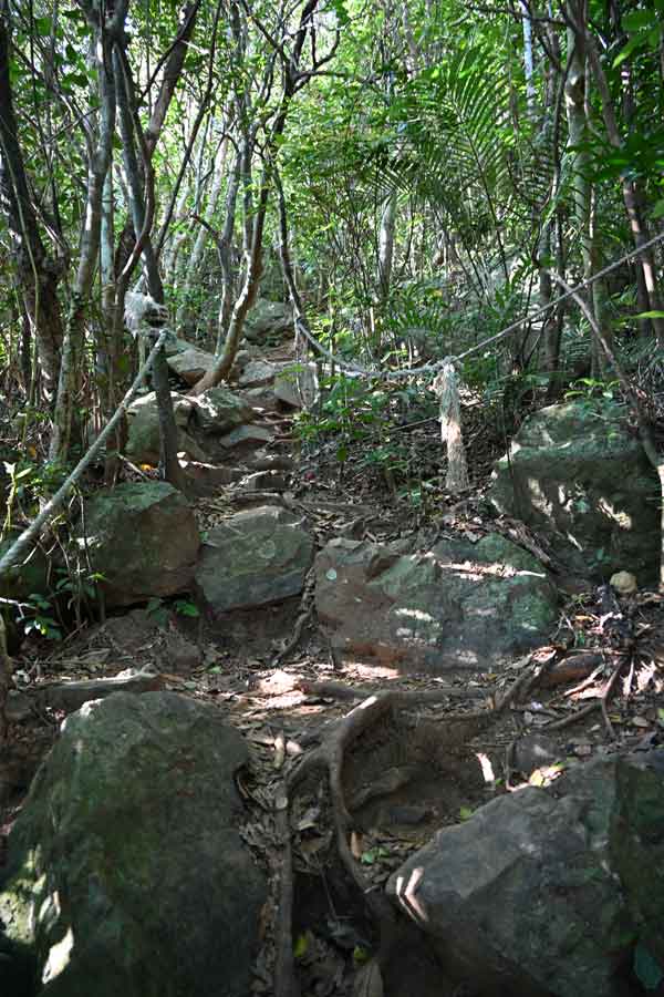 野底マーペー(6)：登山道