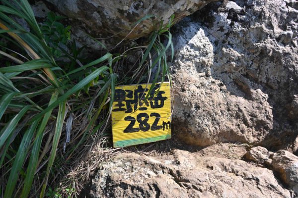 野底マーペー(8)：山頂付近