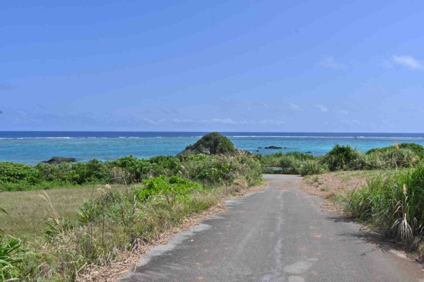 野原崎