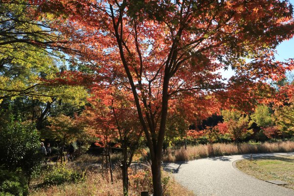 大阪城公園(2)