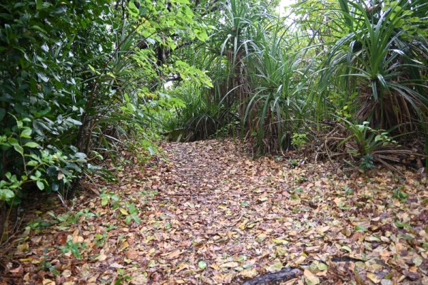 久高島：タチ浜の入り口