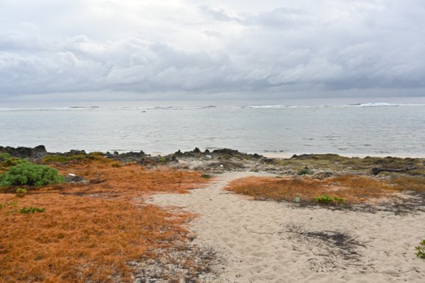 久高島：タチ浜