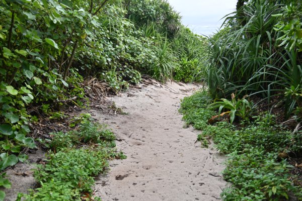 久高島：ウパーマ浜への道