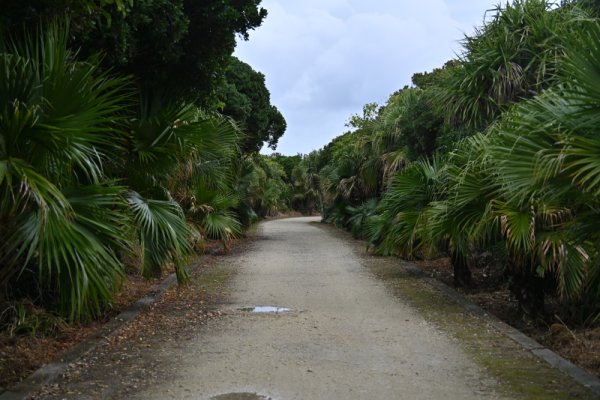 久高島：ハビャーンへの道
