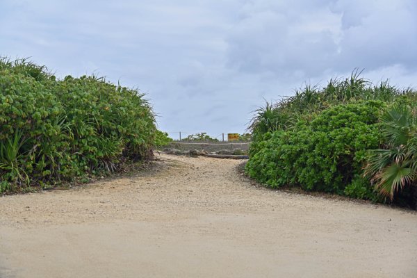 久高島：ハビャーン