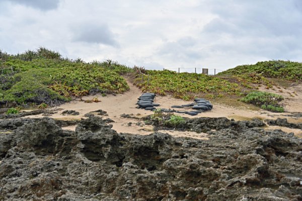 久高島：ハビャーン
