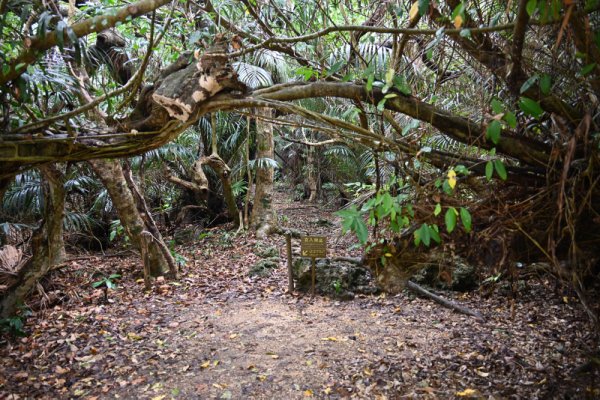 久高島：フボー御嶽