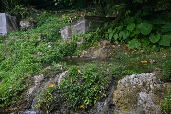 垣花樋川：湧水