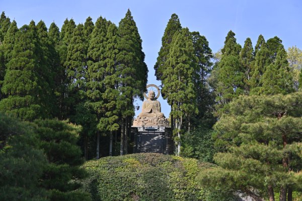 蓮華院誕生寺：大菩薩