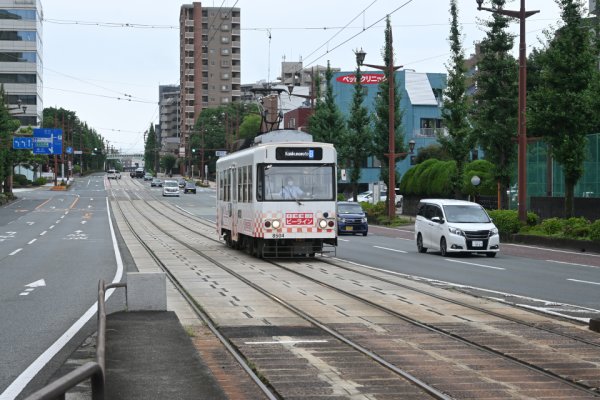 熊本市電：私立体育館前(2)
