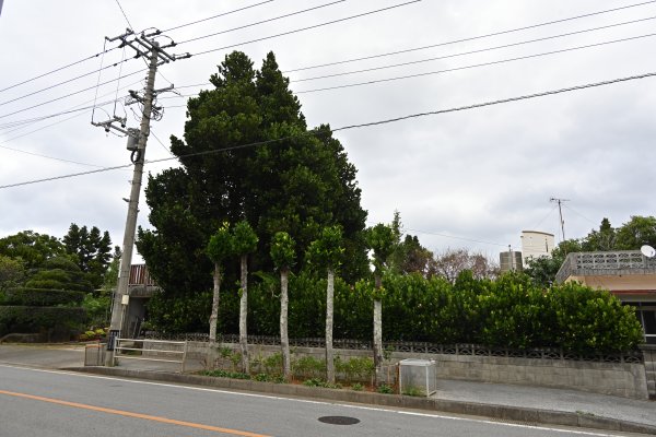 真謝集落(3)