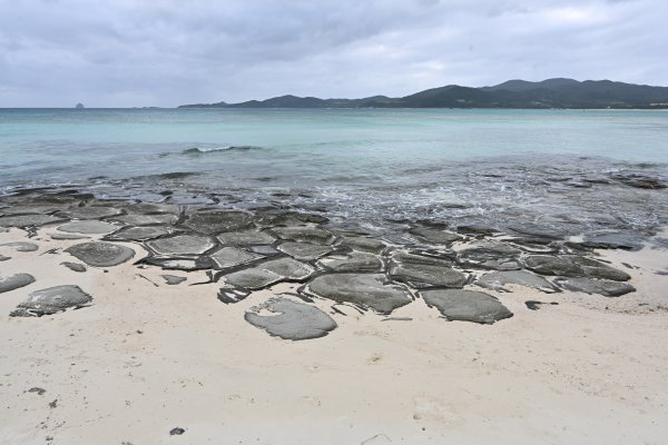 奥武島の畳石(2)