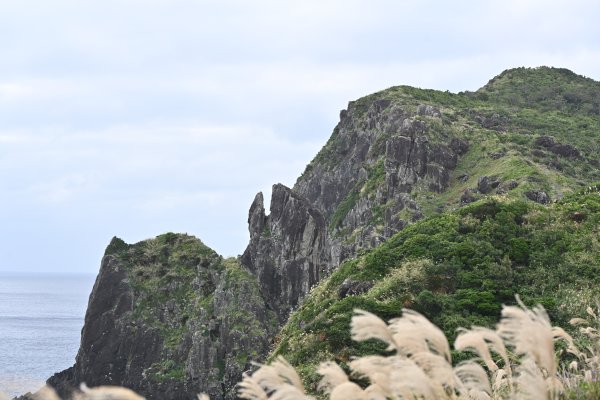 鳥の口(5)