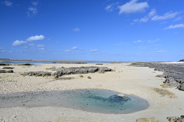 シンリ浜(1)
