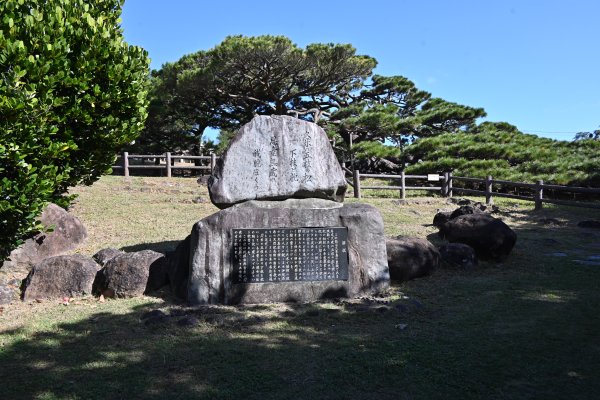 五枝の松(1)