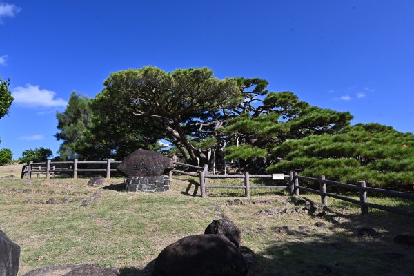 五枝の松(2)