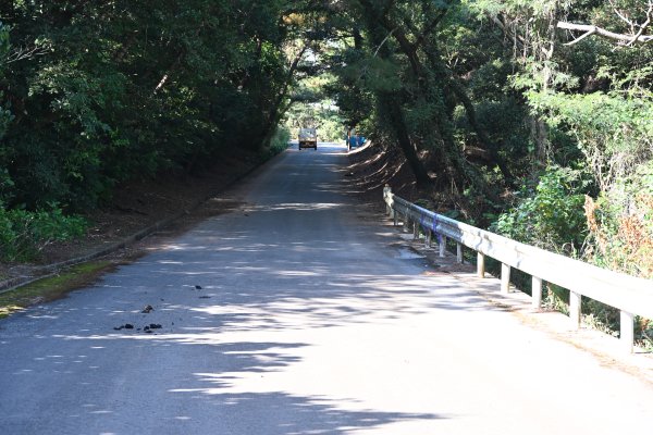 おばけ坂