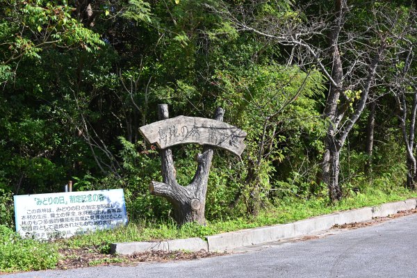 島地の森散策路