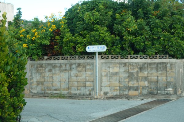 アーラ林道(1)