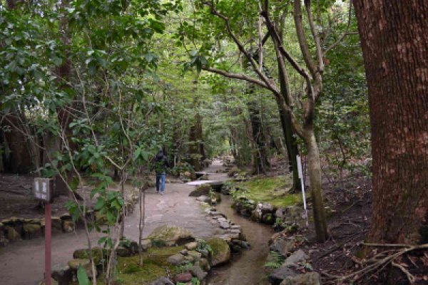 平安神宮：本殿裏の通路