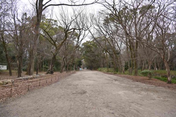 下賀茂神社：糺の森