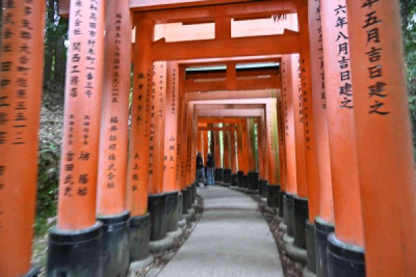 伏見稲荷：下りの千本鳥居